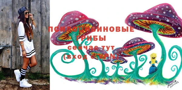 мескалин Арсеньев