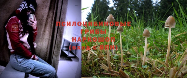 наркотики Аркадак