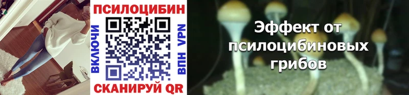 Псилоцибиновые грибы Cubensis  hydra как войти  Остров 